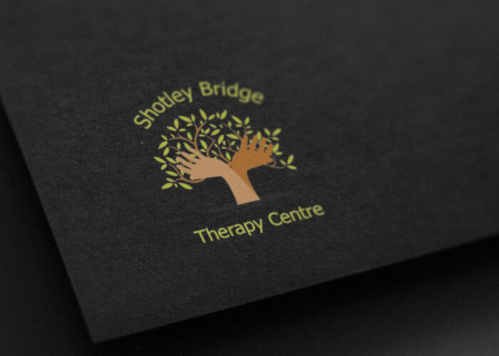 Therapy Centre Logo Artwork