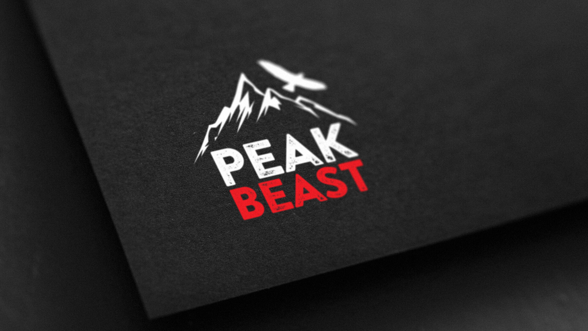 Logo Creation for Peak Beast Logo Creation for Peak Beast
